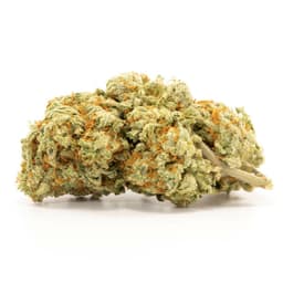 Bubble Berry cannabis strain