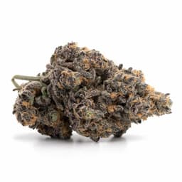 Bubble Gum cannabis strain