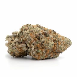 Hawaiian Skunk cannabis strain