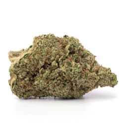 Cali Bubba cannabis strain