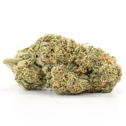 Cherry Cheesecake cannabis strain