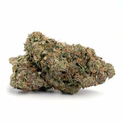 Cherry Pie cannabis strain