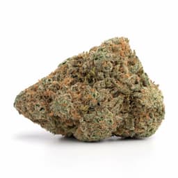 Cinderella 99 cannabis strain