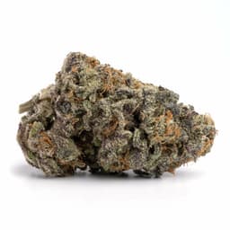 Alien Rock Candy cannabis strain