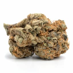 VIP OG cannabis strain