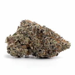 Death Tuna cannabis strain