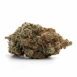 Purple Tonic cannabis strain