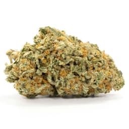 Dosi Killer cannabis strain