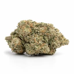 Dosi Punch cannabis strain