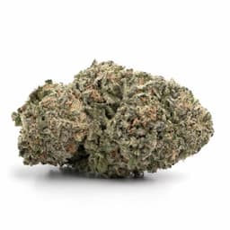 Fire OG cannabis strain
