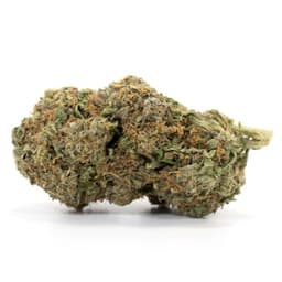 Daily Grape cannabis strain