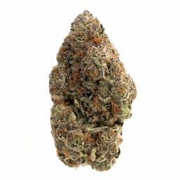 Fruity Pebbles cannabis strain