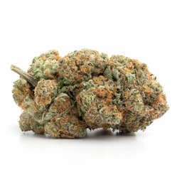 Galactic Gas cannabis strain