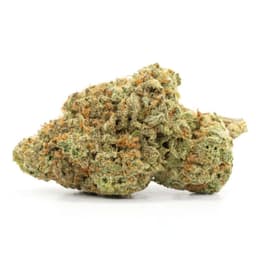 Ghost Train Haze cannabis strain