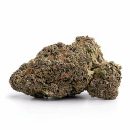 Kushwreck cannabis strain