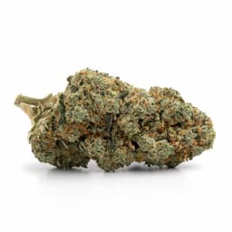 Triangle cannabis strain