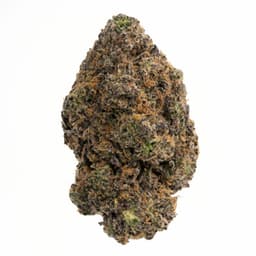 Golden Goat cannabis strain