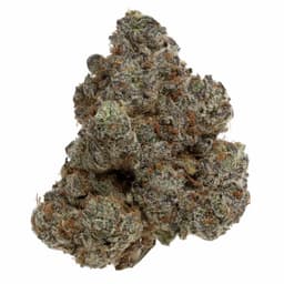 Grapefruit Diesel cannabis strain