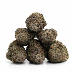 Grape Ape cannabis strain