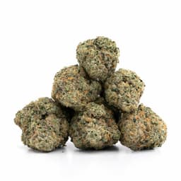 Grape Cake cannabis strain