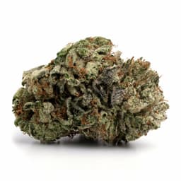 Grape Sundae cannabis strain