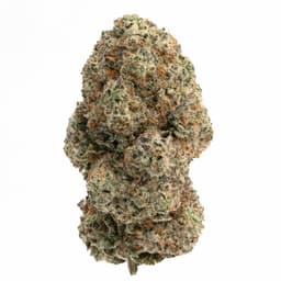 Grape Zkittlez cannabis strain