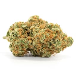 Grapefruit cannabis strain