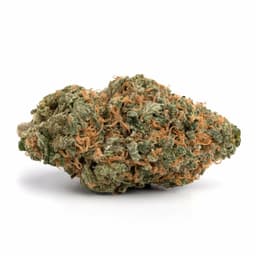 Greasy Pink Bubba cannabis strain