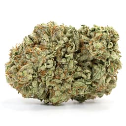 Ogiesel cannabis strain