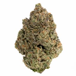 Banana Diesel cannabis strain