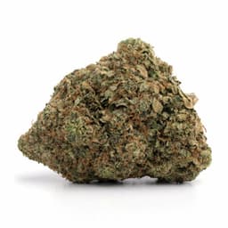Lemonberry cannabis strain