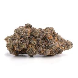Ice Cream cannabis strain