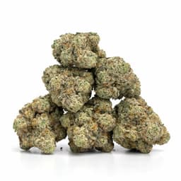 Juicy Fruit cannabis strain