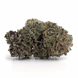 Shake Shack cannabis strain