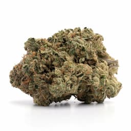 Killer Kush cannabis strain