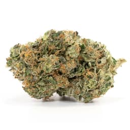 Dizzy Dream cannabis strain