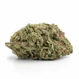 King Kong cannabis strain