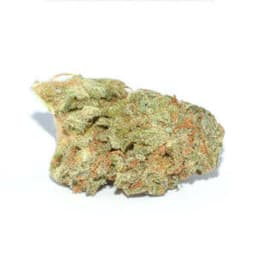 King Louis cannabis strain