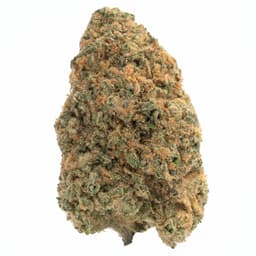 Purple Sage cannabis strain
