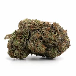 Kosher Kush cannabis strain