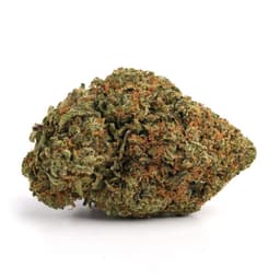 The Goo cannabis strain