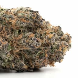 Afghan Ghost cannabis strain