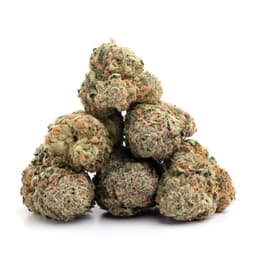 Afghanica cannabis strain