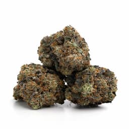 Alcatraz OG cannabis strain