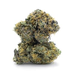 Alice in Wonderland cannabis strain