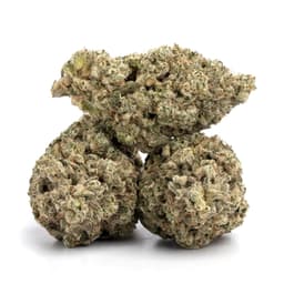 Alien Bubba Berry cannabis strain