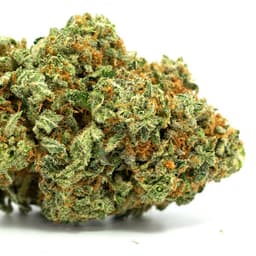 Alien Diesel cannabis strain
