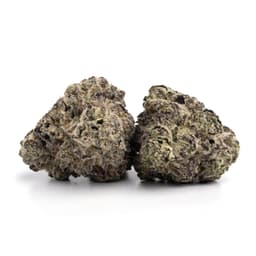 Alien Kush cannabis strain