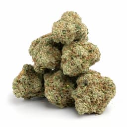 Alpine Blue cannabis strain