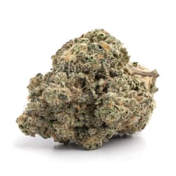 Ice cannabis strain